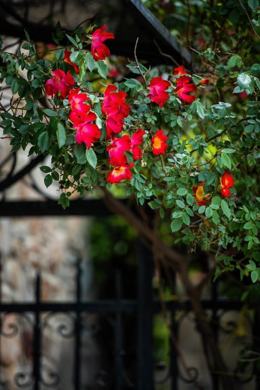 Mulberry House Villa Sithonia Ngoại thất bức ảnh